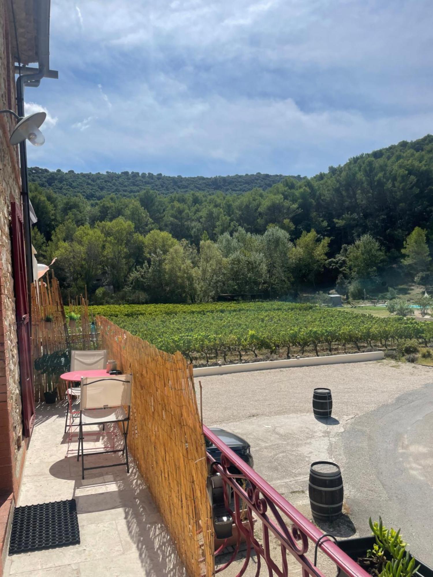 Appartement Au Calme Au Milieu Du Vignoble De Gigondas Eksteriør billede